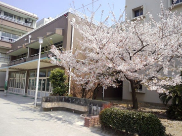 西南小学校の画像1