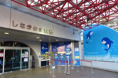 しながわ水族館の画像1