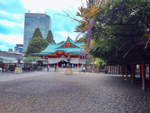 の画像