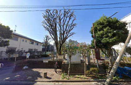 亀有二丁目公園の画像1