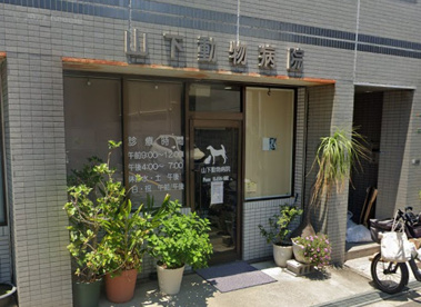 山下動物病院の画像1