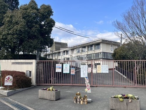 の画像
