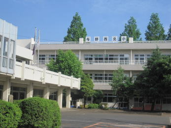 の画像