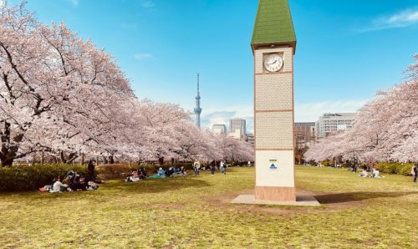 猿江恩賜公園の画像1