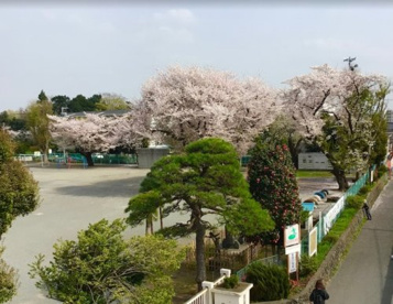 座間市立栗原小学校の画像1