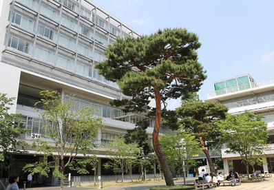 成城大学の画像1