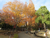 蚕糸の森公園