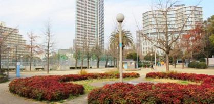 下福島公園の画像1