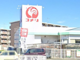 コメリハード&グリーン湖西店