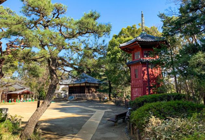 哲学堂公園の画像1