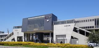 の画像