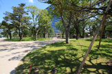 中野四季の森公園