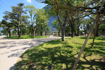 中野四季の森公園