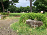 芋窪ときわ公園