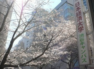 日本経済大学 東京渋谷キャンパス