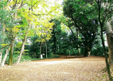 新郷若宮公園の画像1