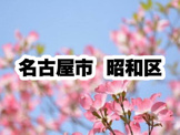 昭和区役所｜名古屋市昭和区