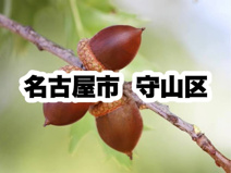 守山区役所｜名古屋市守山区