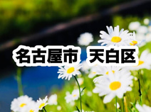 天白区役所｜名古屋市天白区