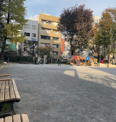 芳林公園