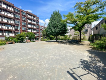 練馬区立 栄町公園の画像1