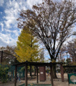 梅里中央公園