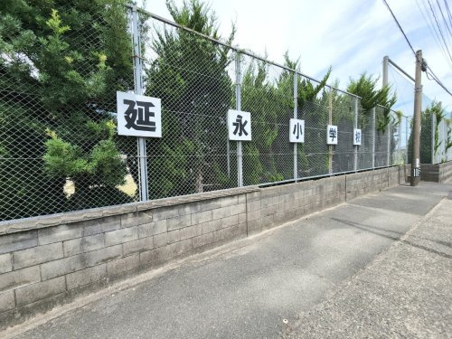 の画像