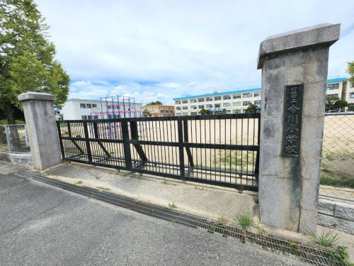 の画像