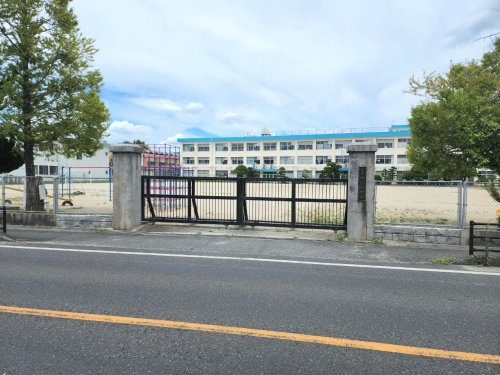 の画像