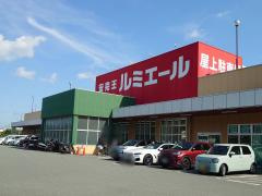 の画像
