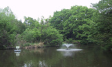 公園 和田堀公園