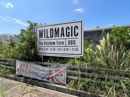 WILD　MAGIC