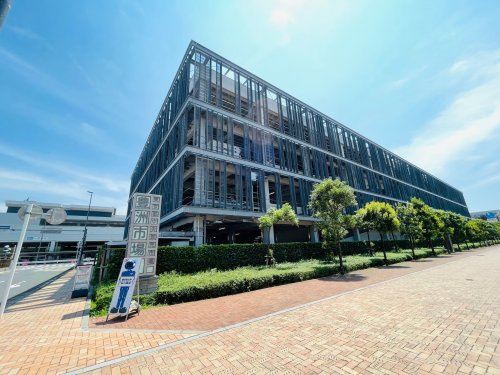 豊洲市場