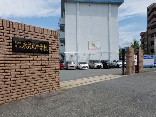 の画像