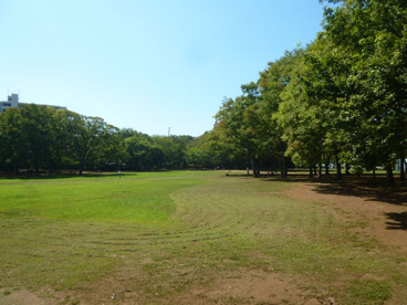 茅ヶ崎中央公園の画像1