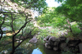 紅葉山公園