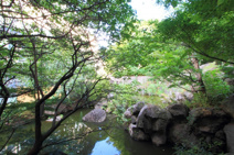 紅葉山公園