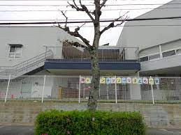 の画像