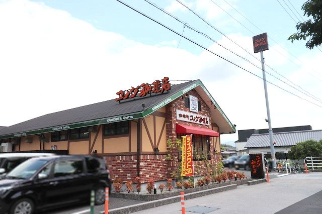 の画像