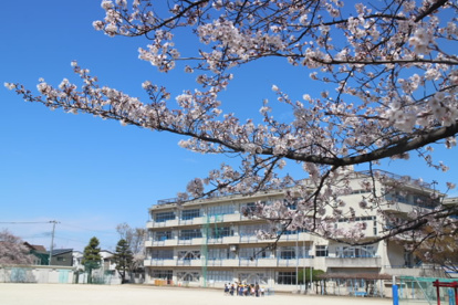 三郷市立前谷小学校の画像1