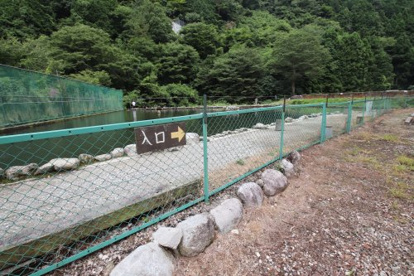 千早川マス釣場の画像1