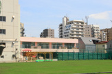 新渡戸文化幼稚園