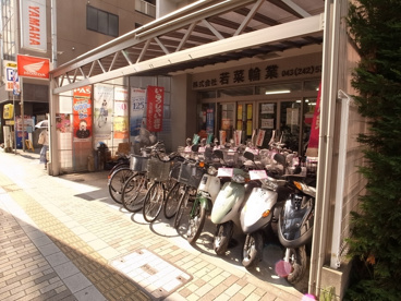 若菜輪業の画像1