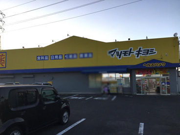 ヘルスバンク 小松寺店の画像1