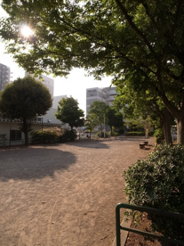 新浜公園の画像1