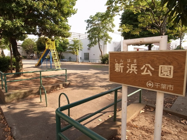 新浜公園の画像2
