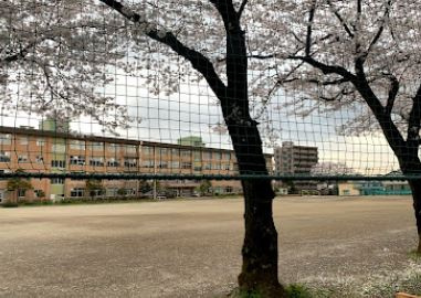八王子市立由木中学校の画像1