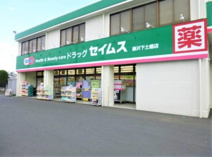 ドラッグセイムス藤沢下土棚店