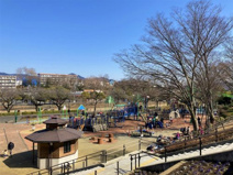 秦野中央こども公園