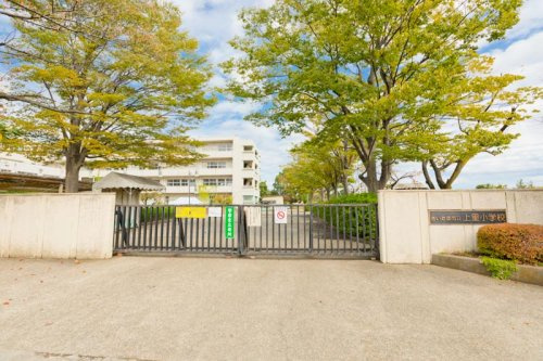 の画像
